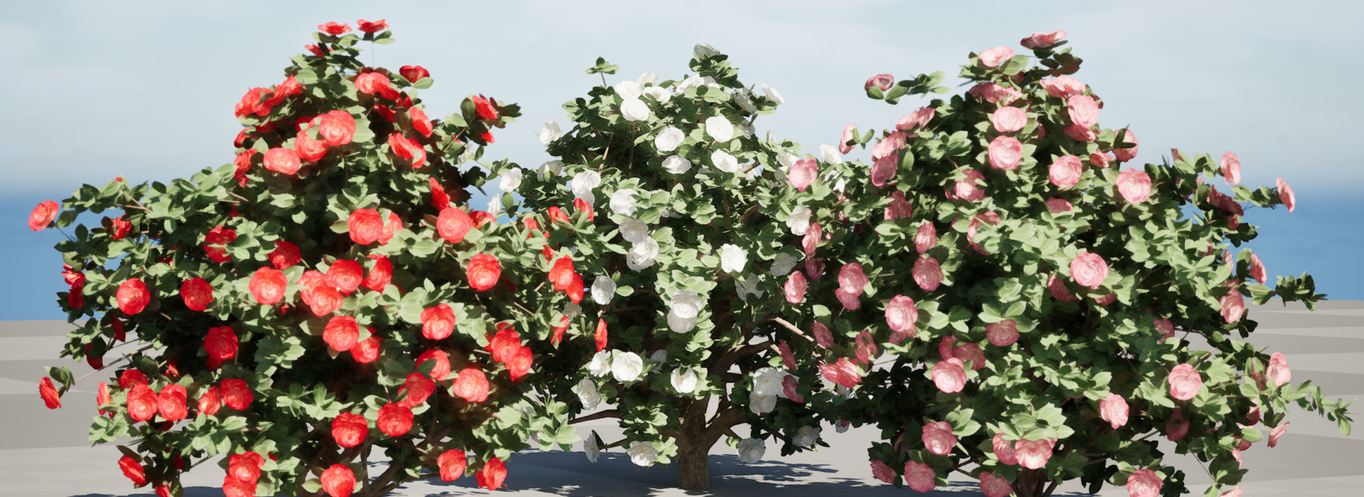 Product banner image