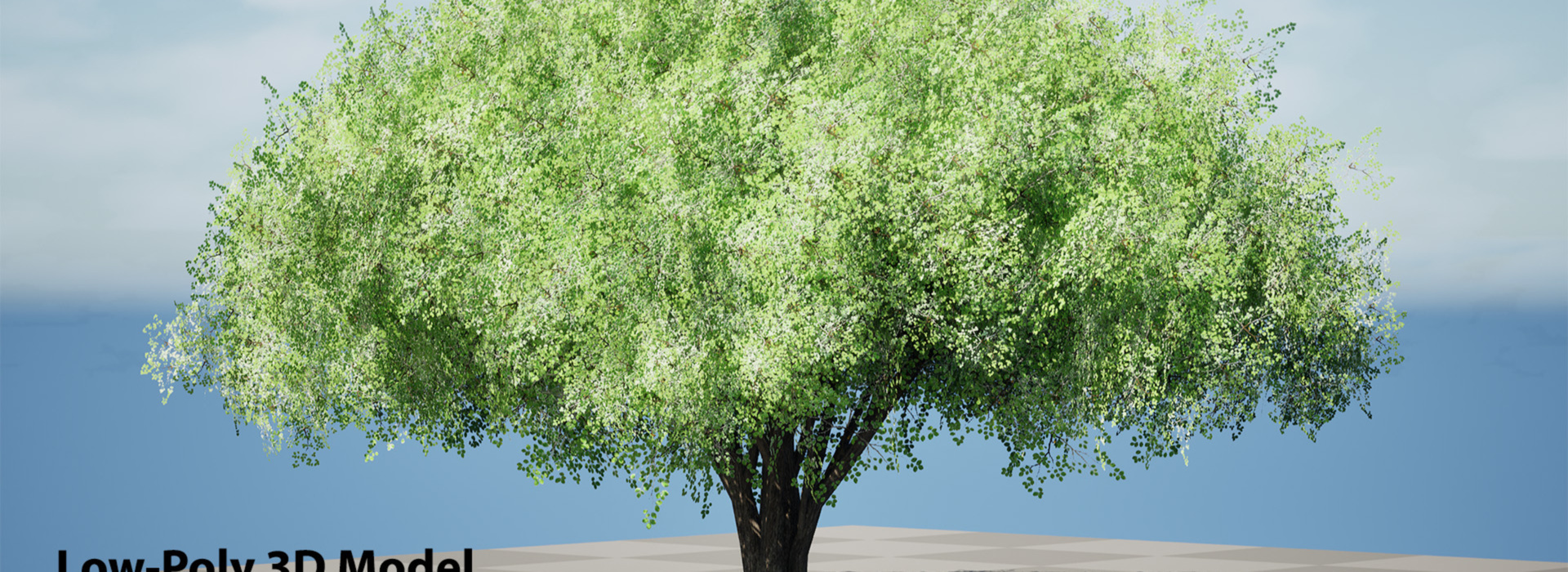 Product banner image