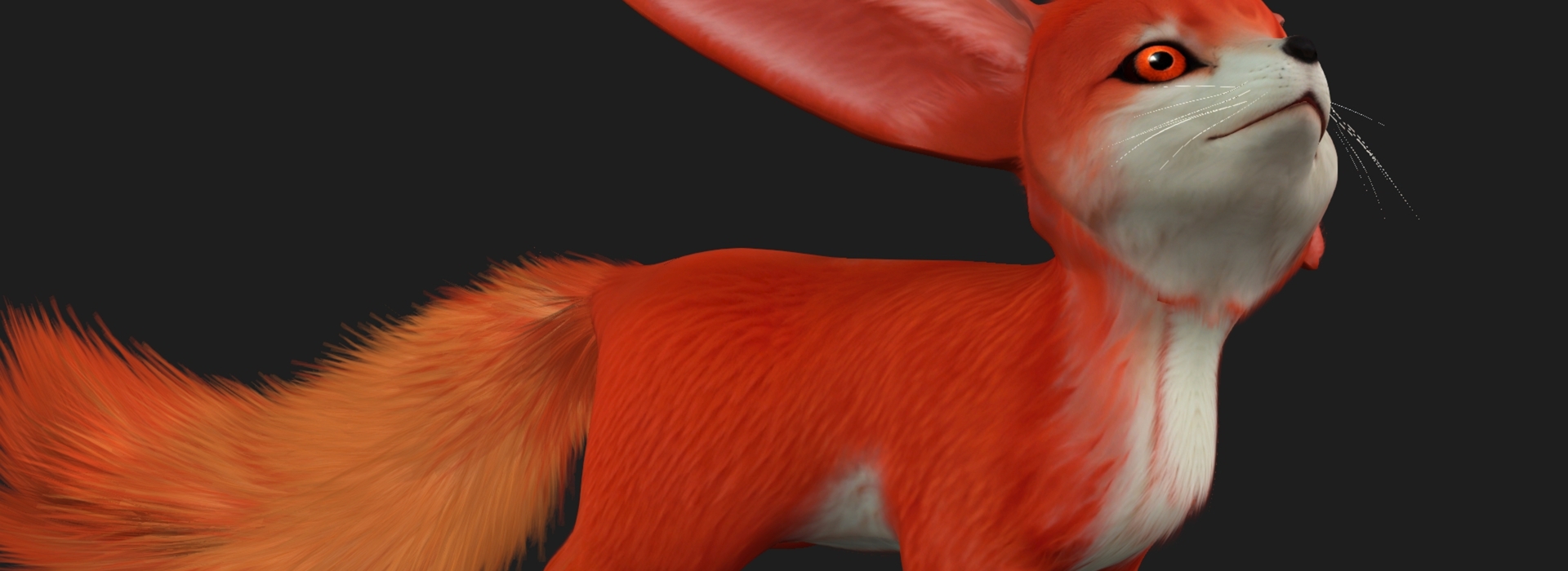 Product banner image