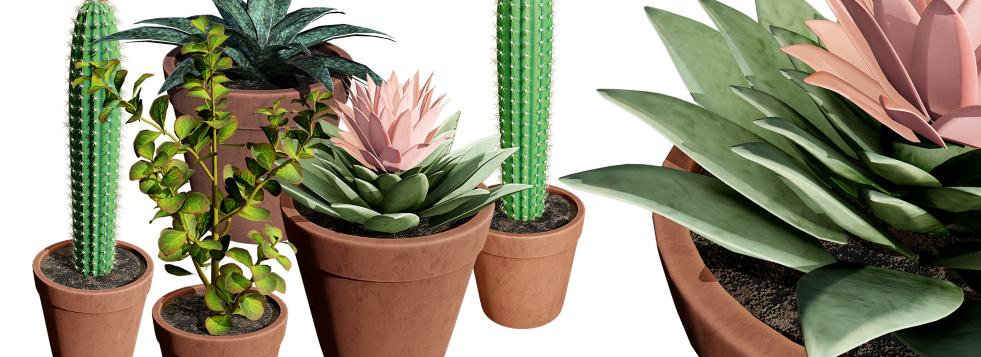 Product banner image