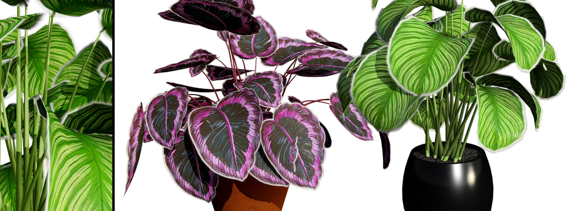 Product banner image