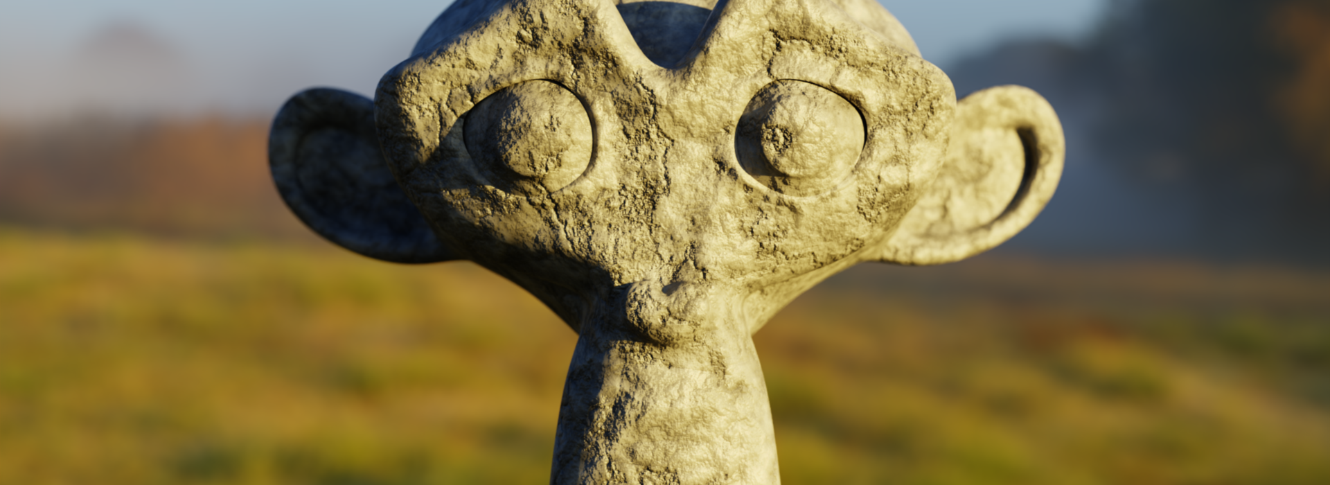 Product banner image