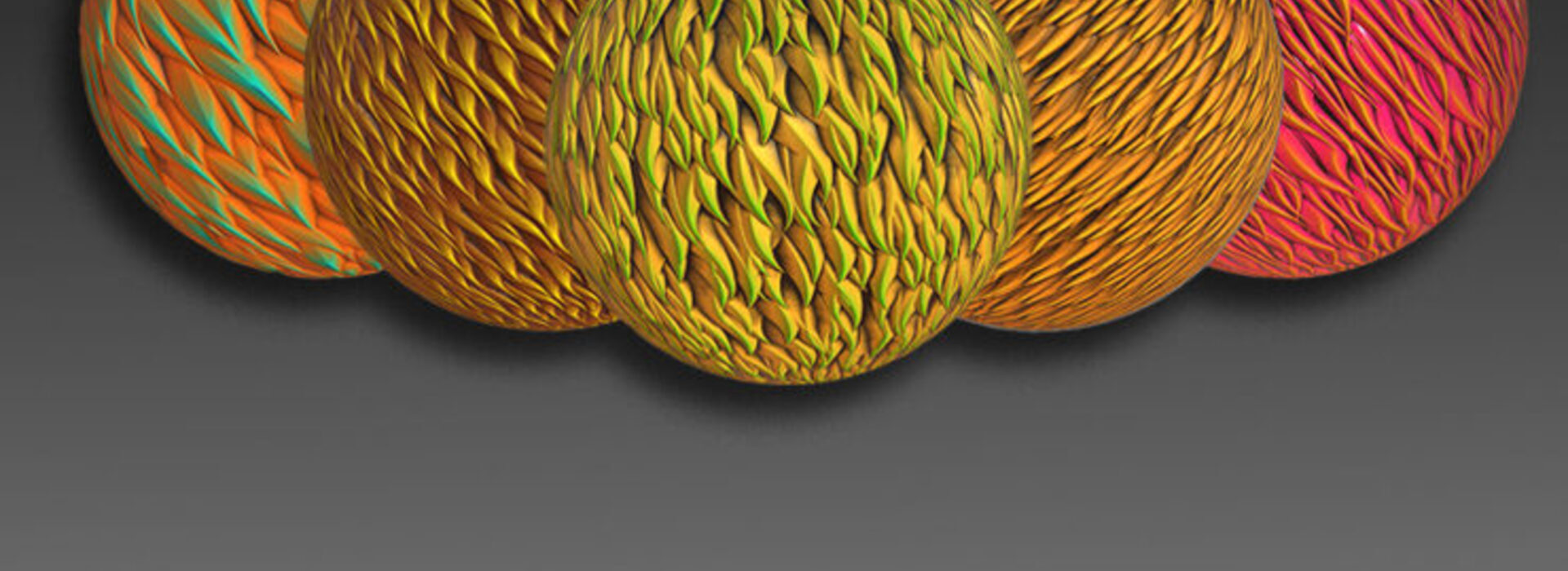 Product banner image