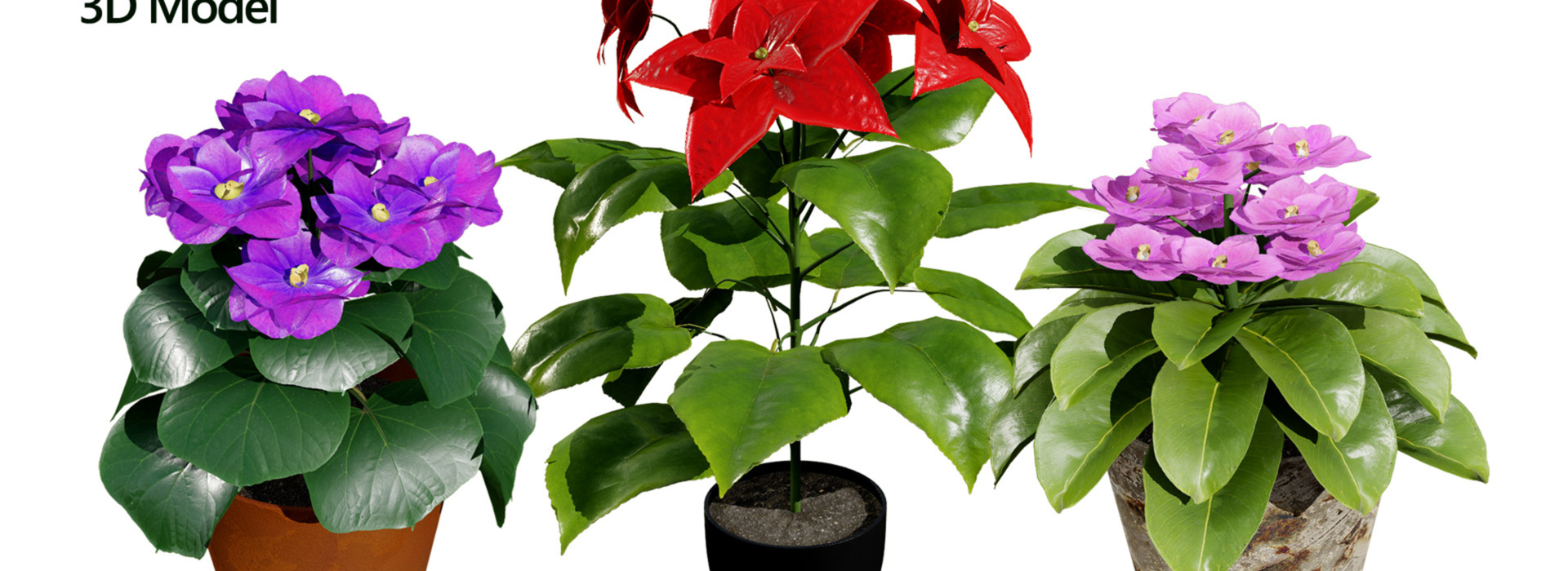 Product banner image