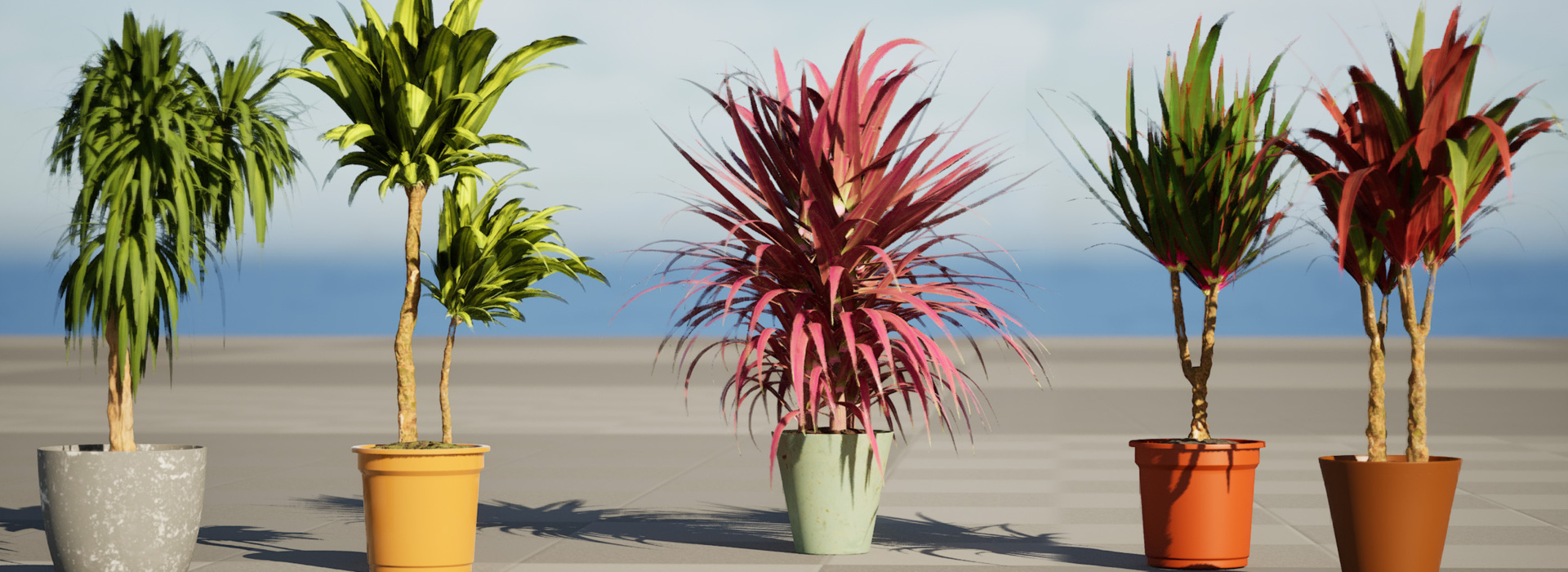 Product banner image