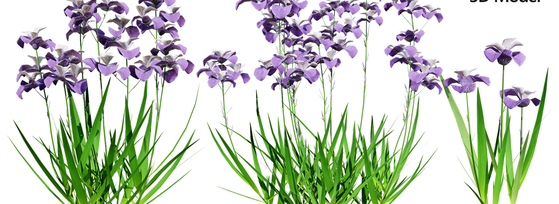 Product banner image