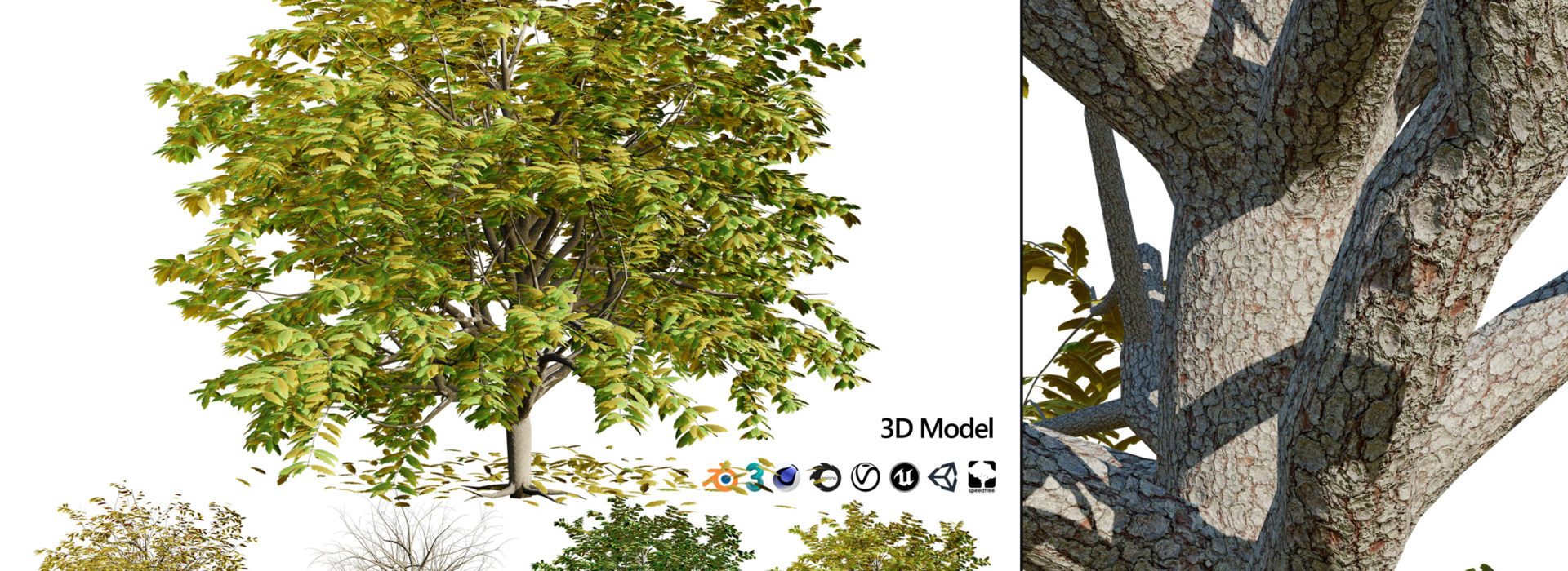 Product banner image