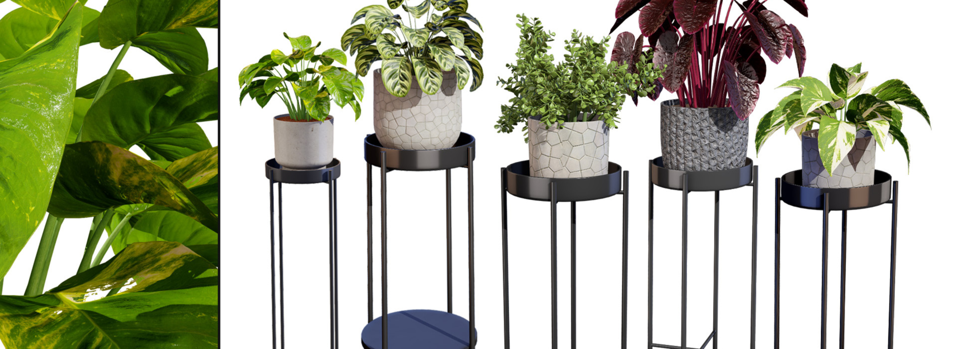 Product banner image