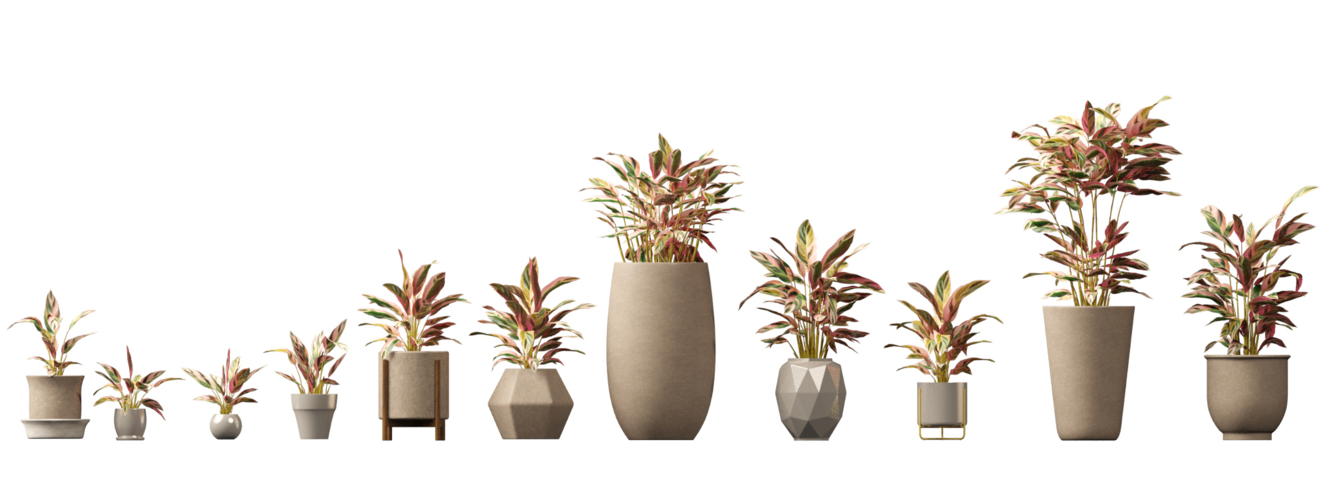 Product banner image