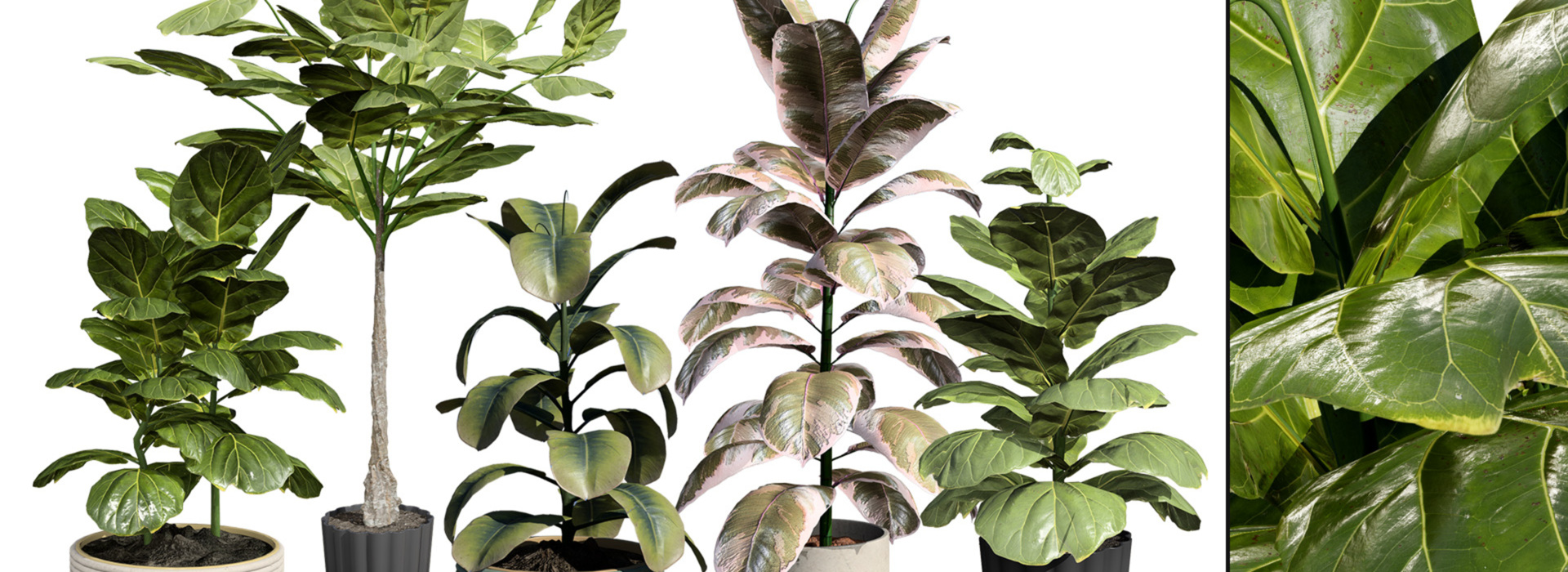 Product banner image