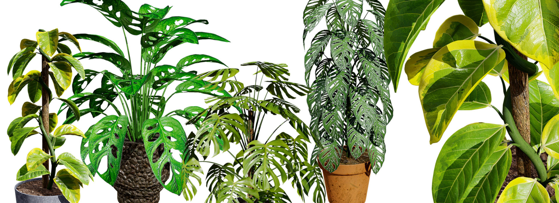 Product banner image