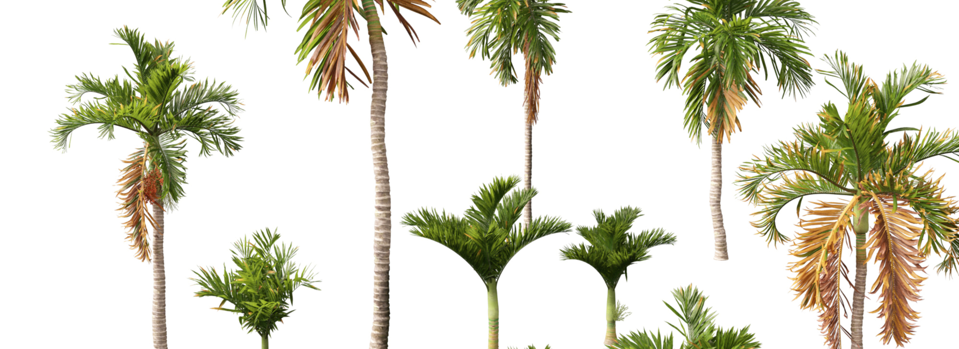 Product banner image