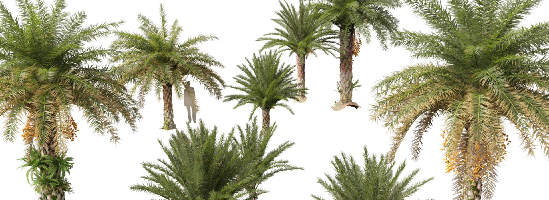 Product banner image