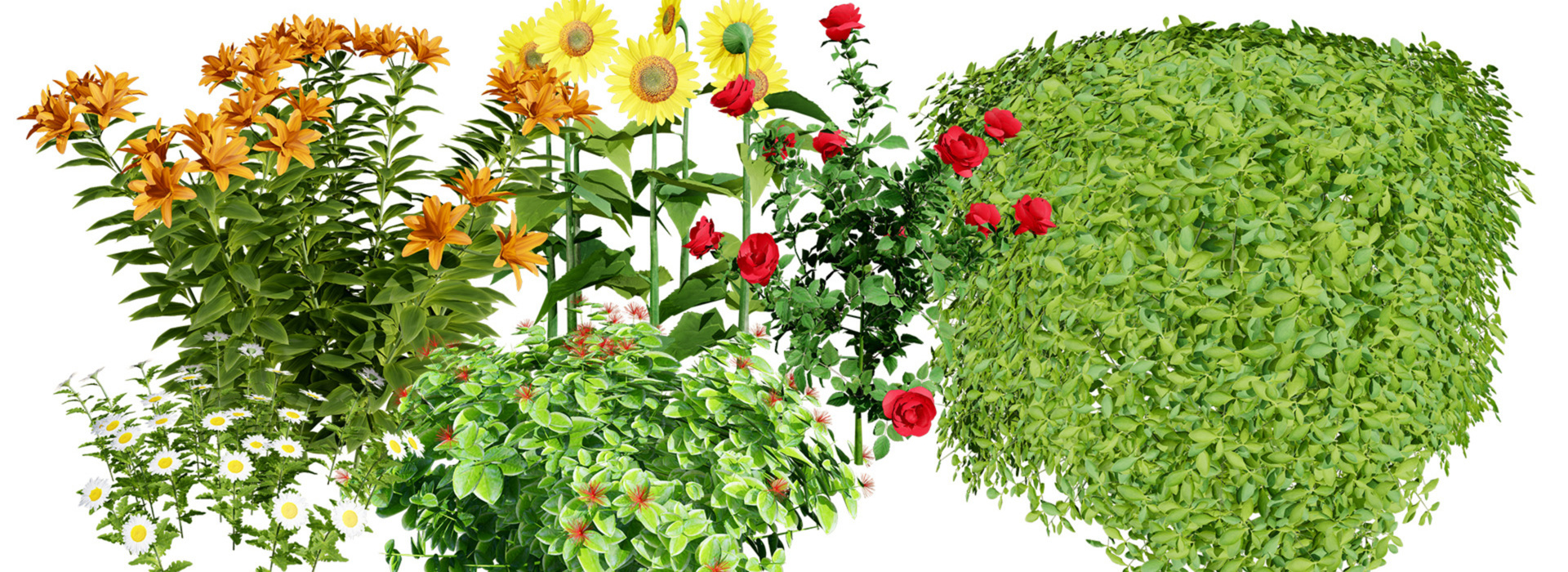 Product banner image