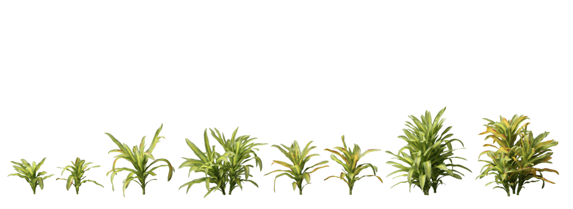 Product banner image