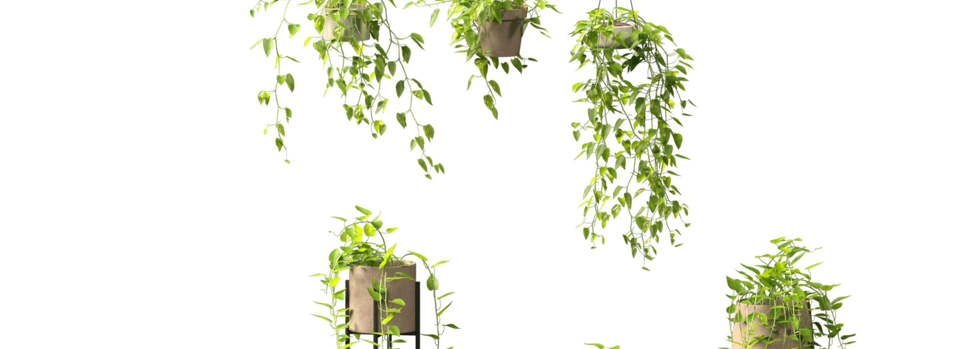 Product banner image