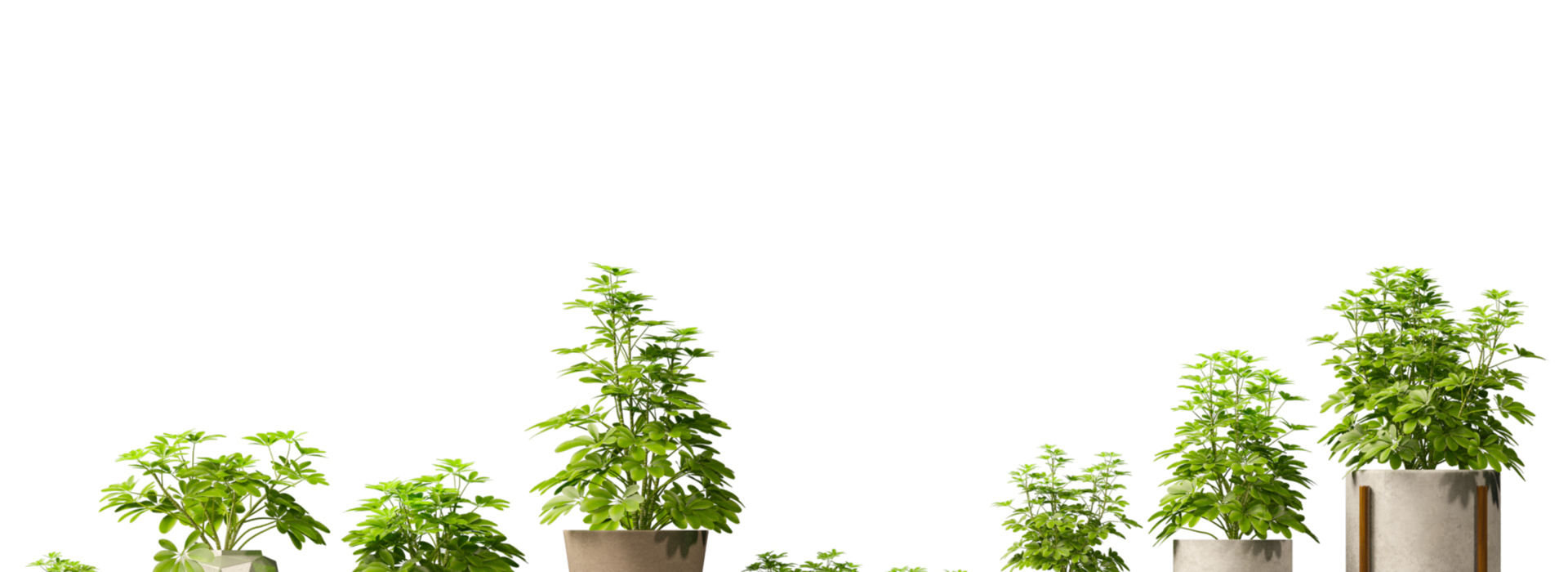 Product banner image