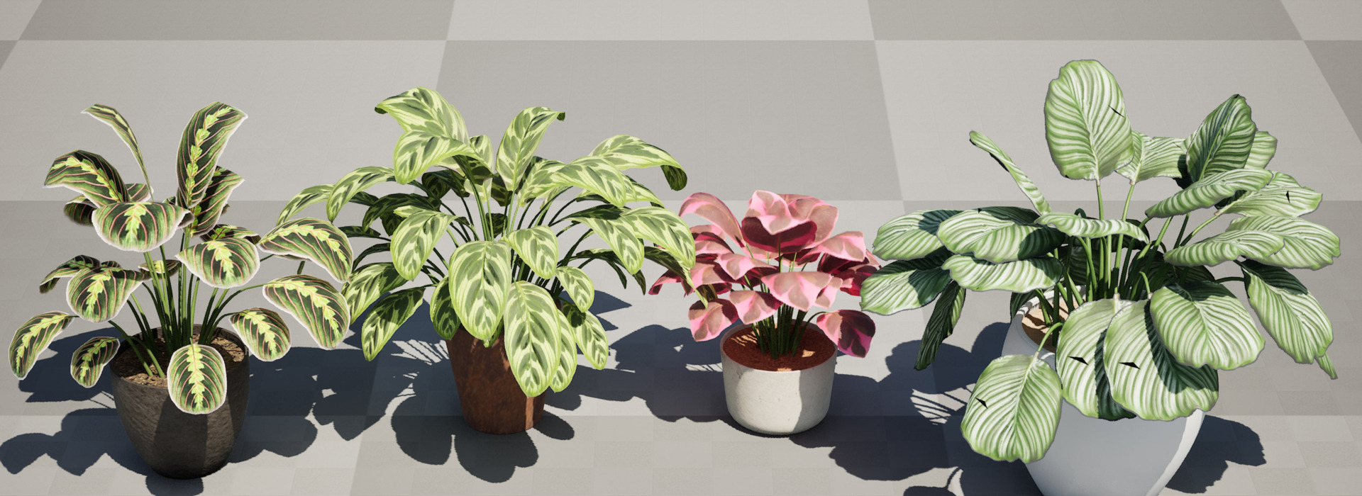 Product banner image