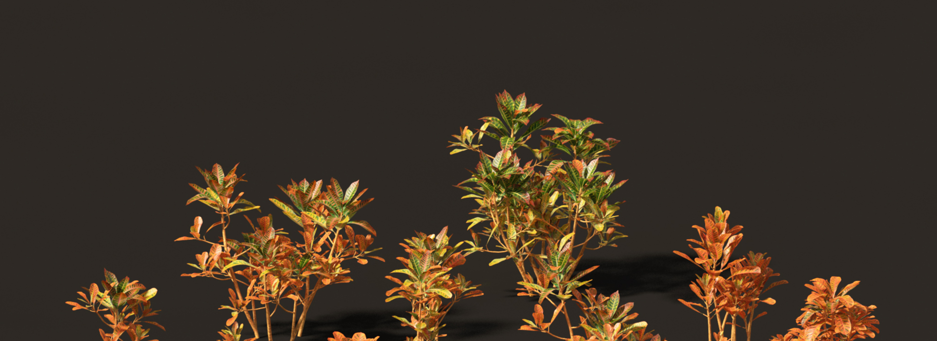 Product banner image