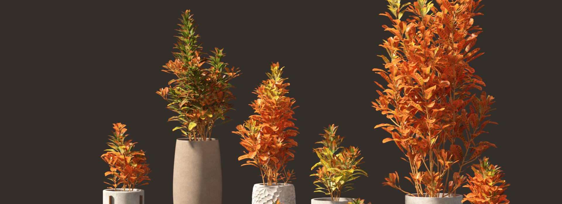 Product banner image