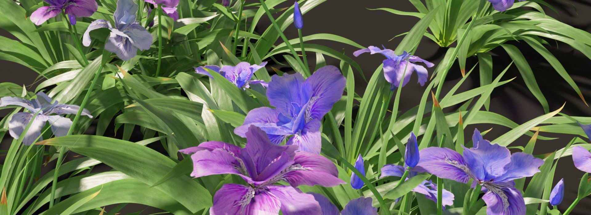 Product banner image