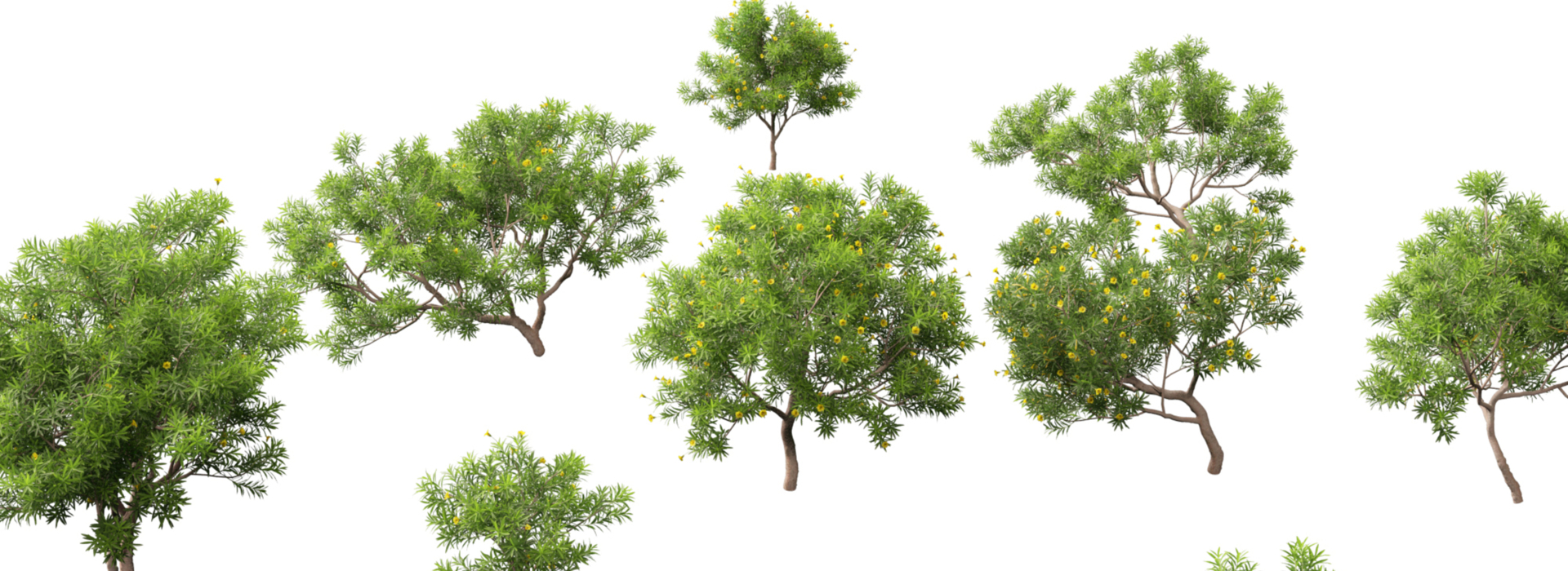 Product banner image
