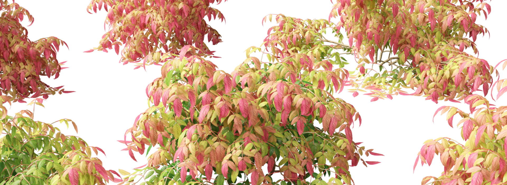 Product banner image