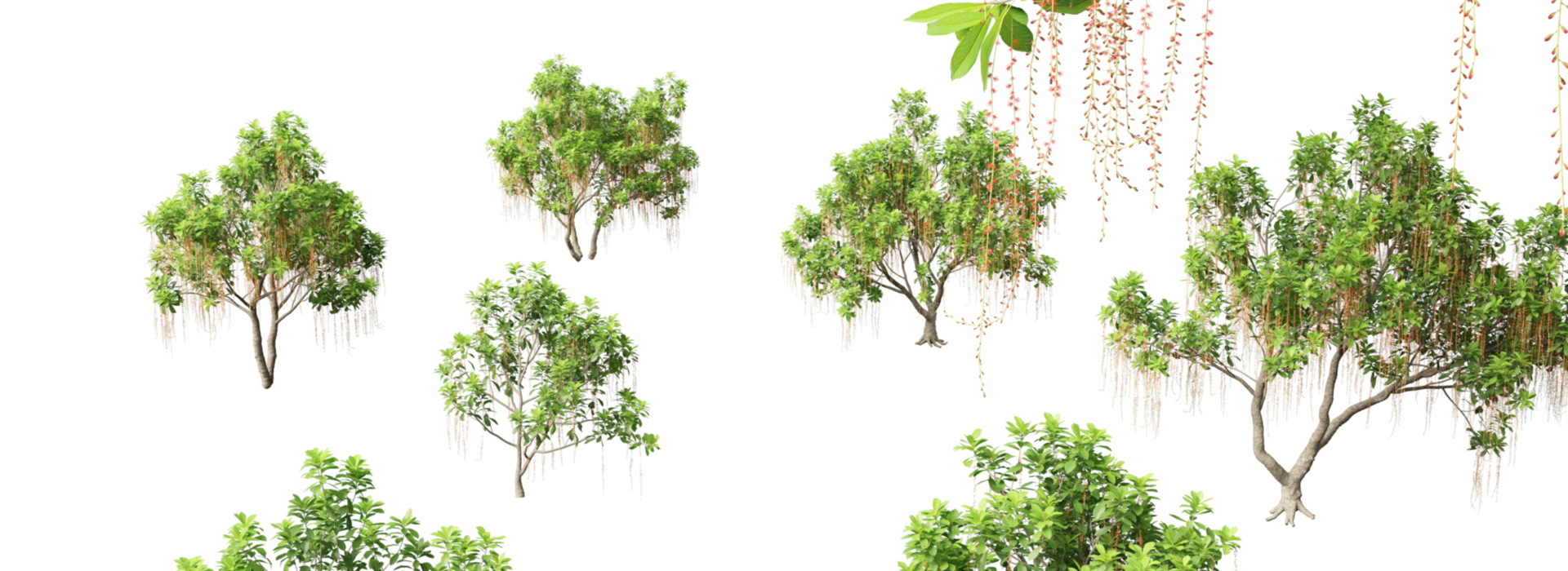 Product banner image