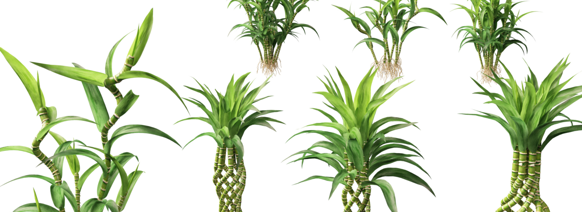 Product banner image