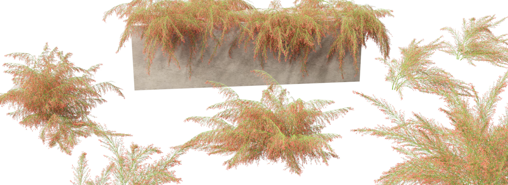 Product banner image