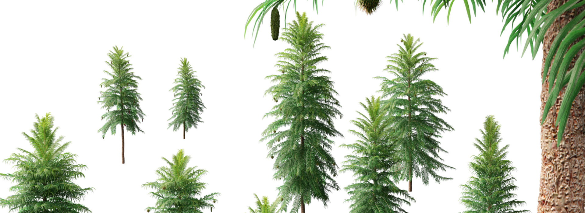 Product banner image