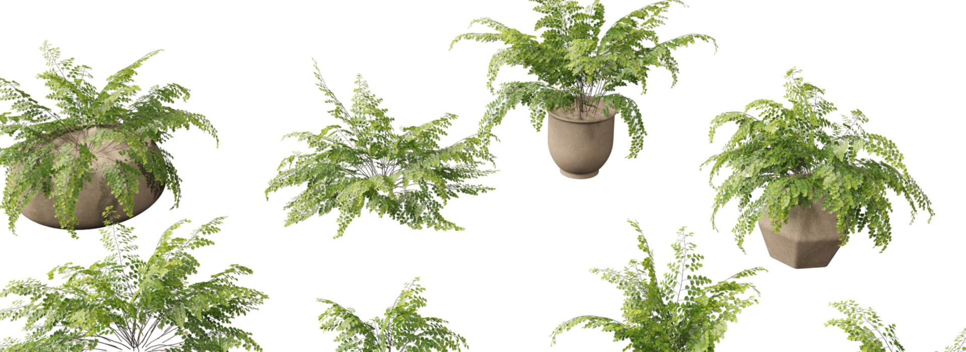 Product banner image