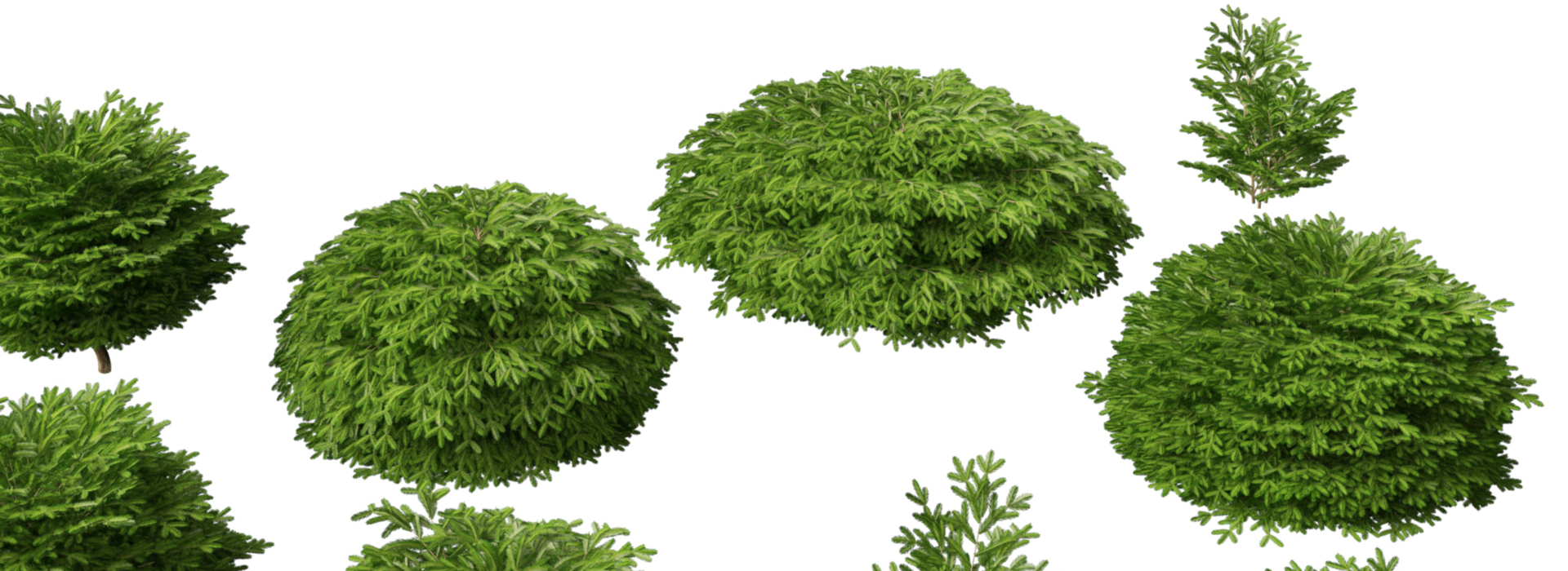 Product banner image