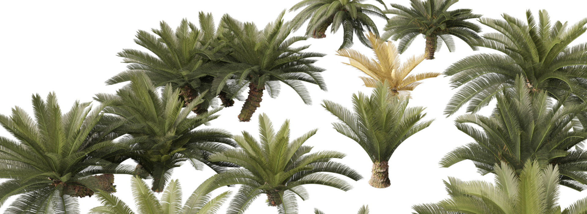 Product banner image