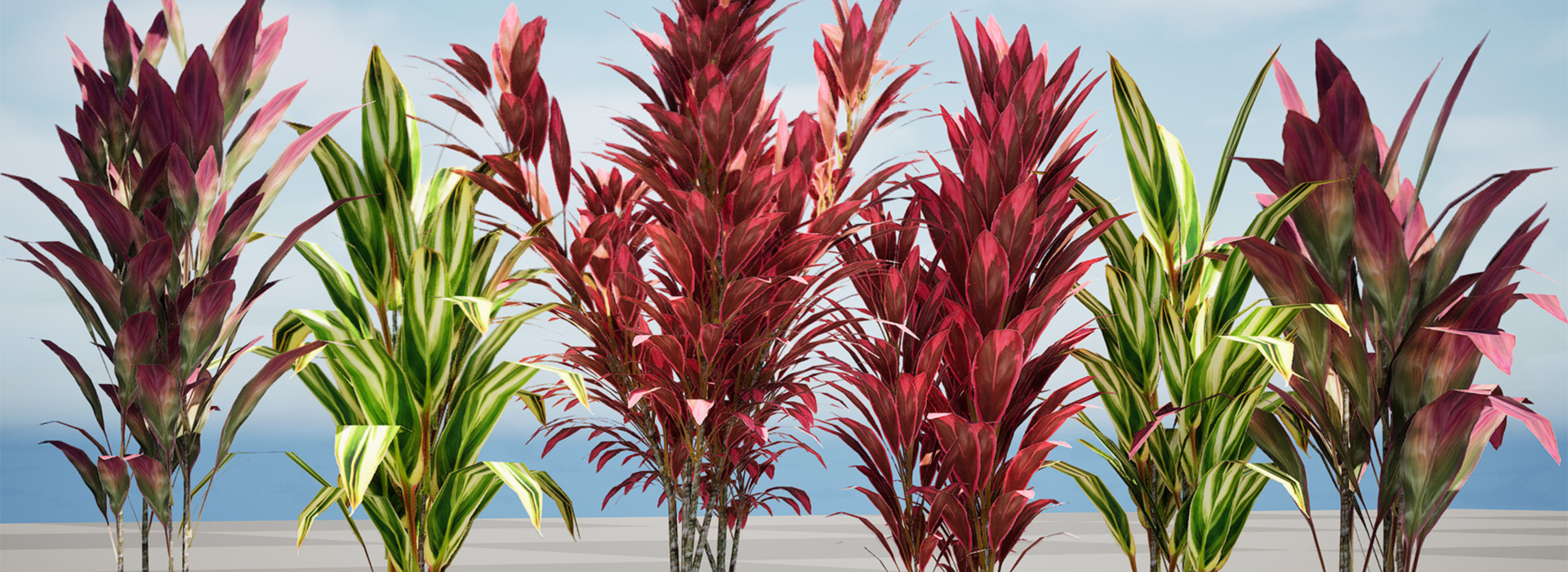 Product banner image