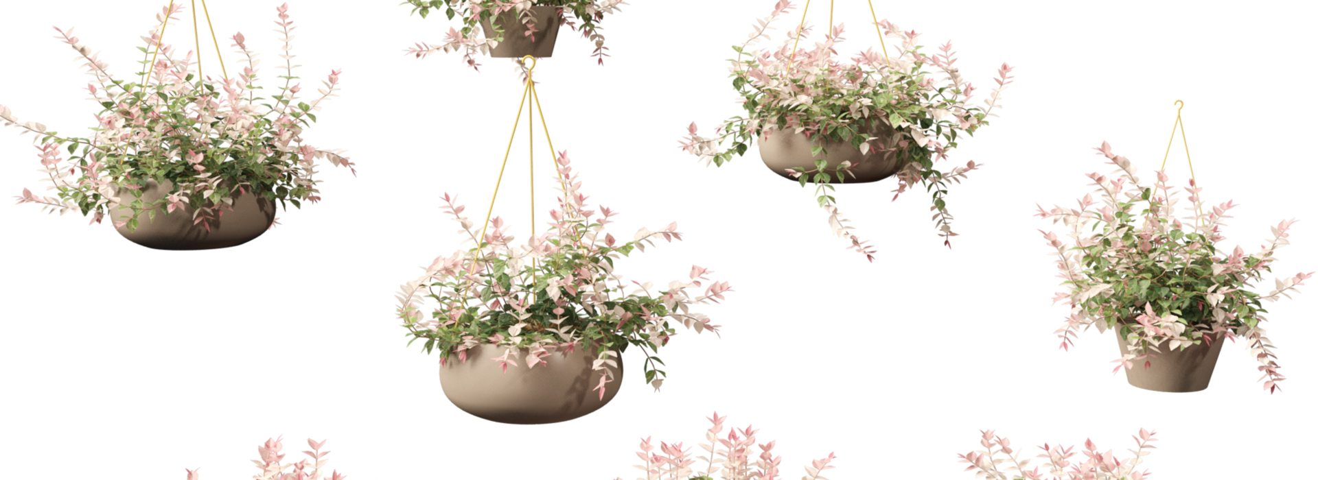 Product banner image