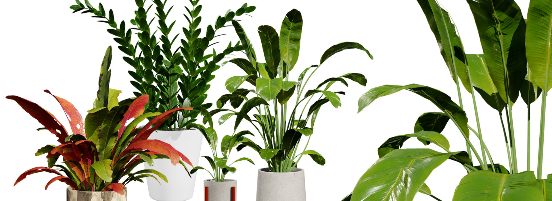 Product banner image