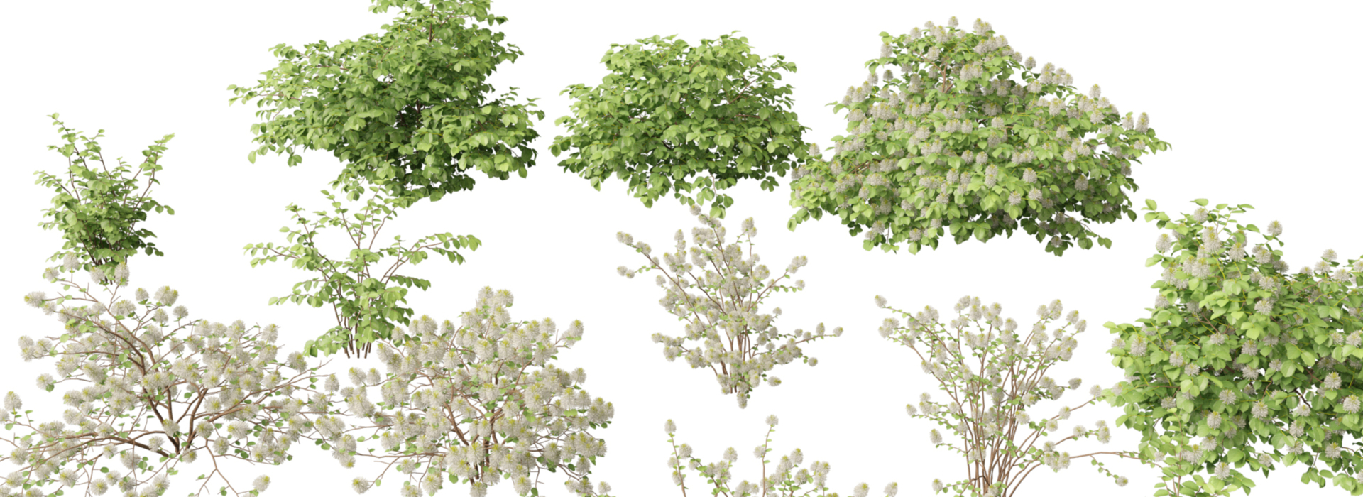 Product banner image