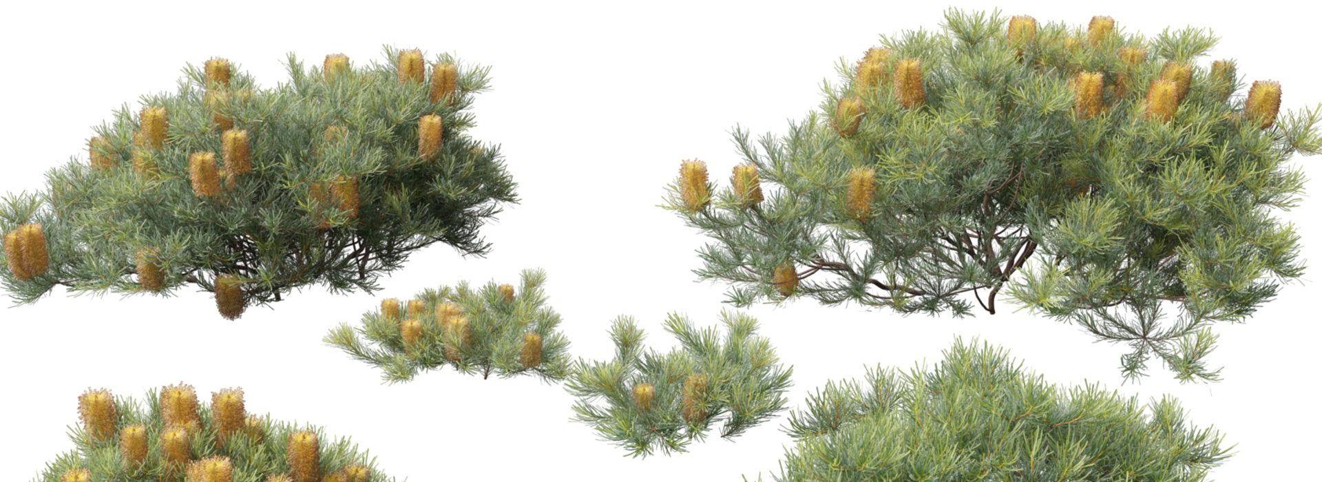 Product banner image