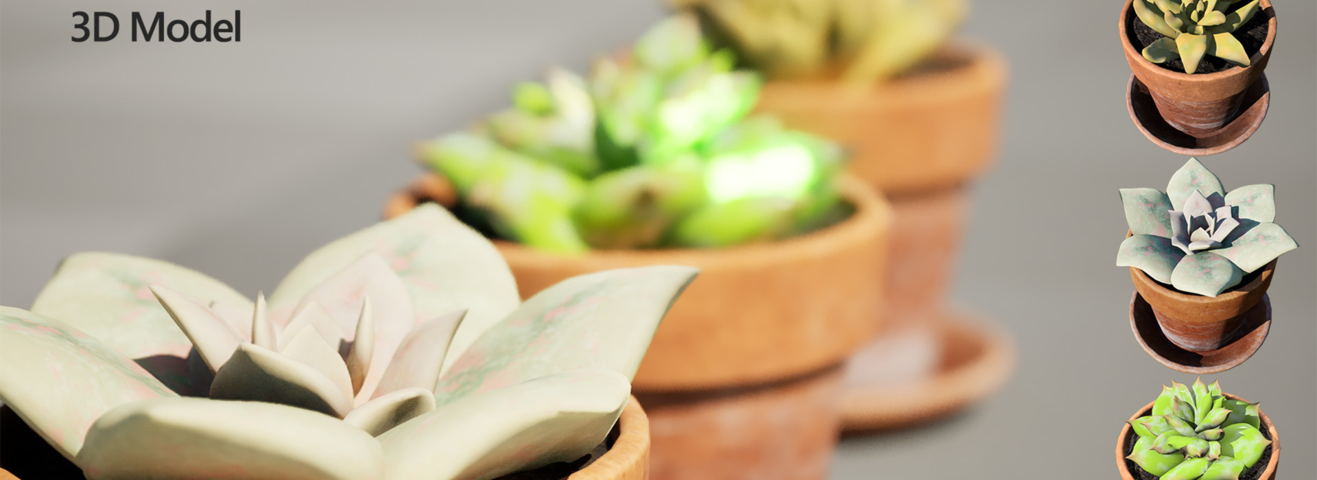Product banner image