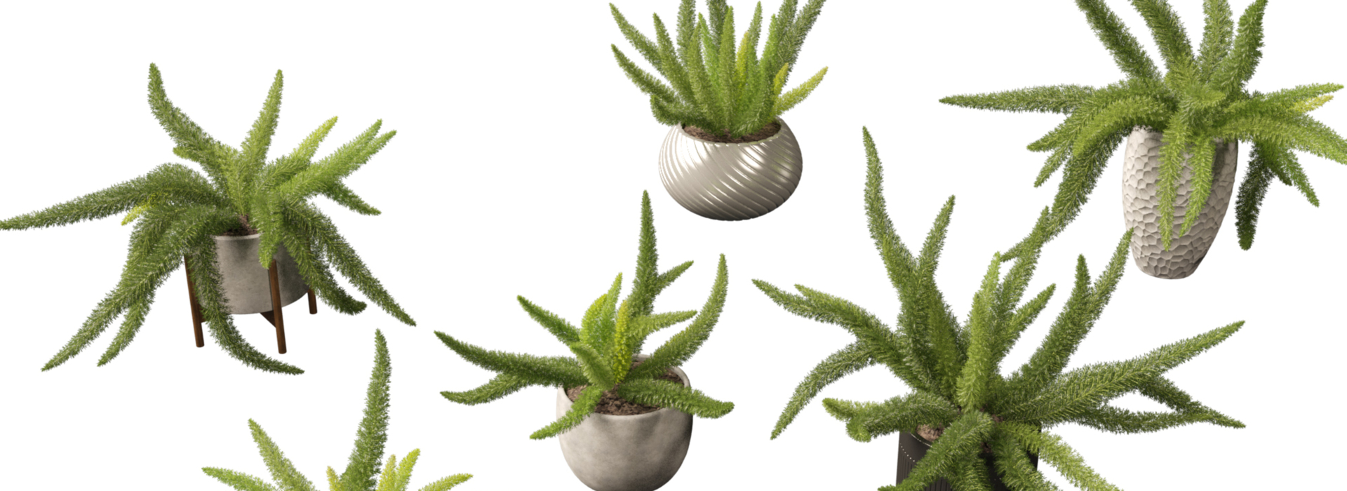 Product banner image