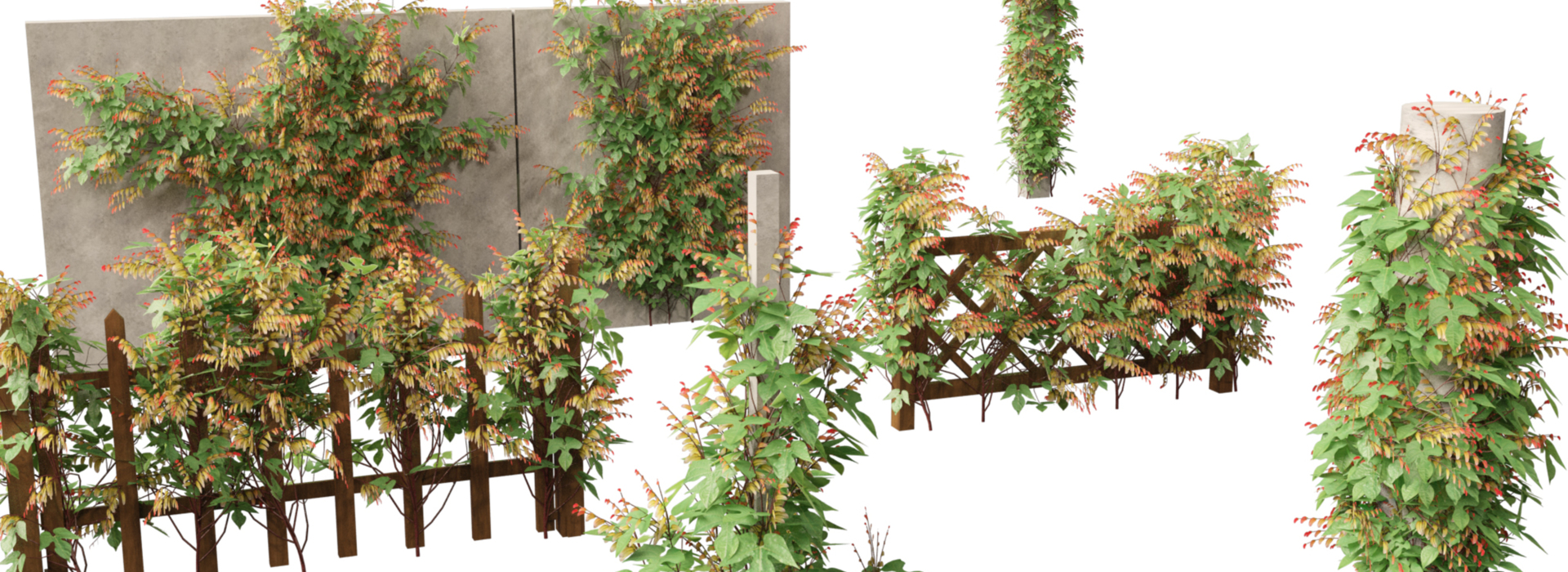 Product banner image