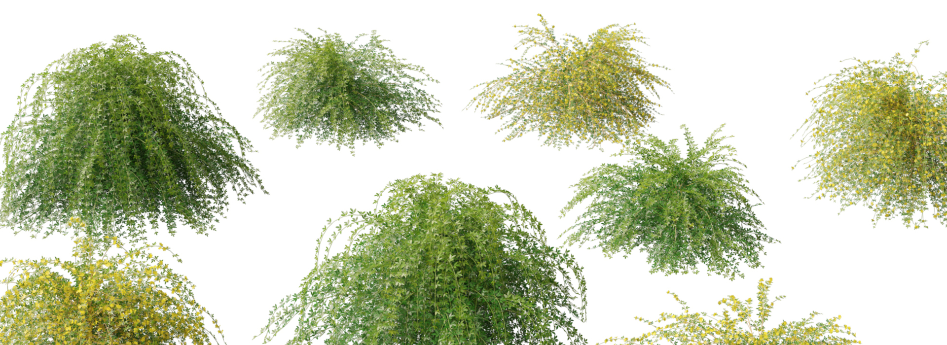 Product banner image