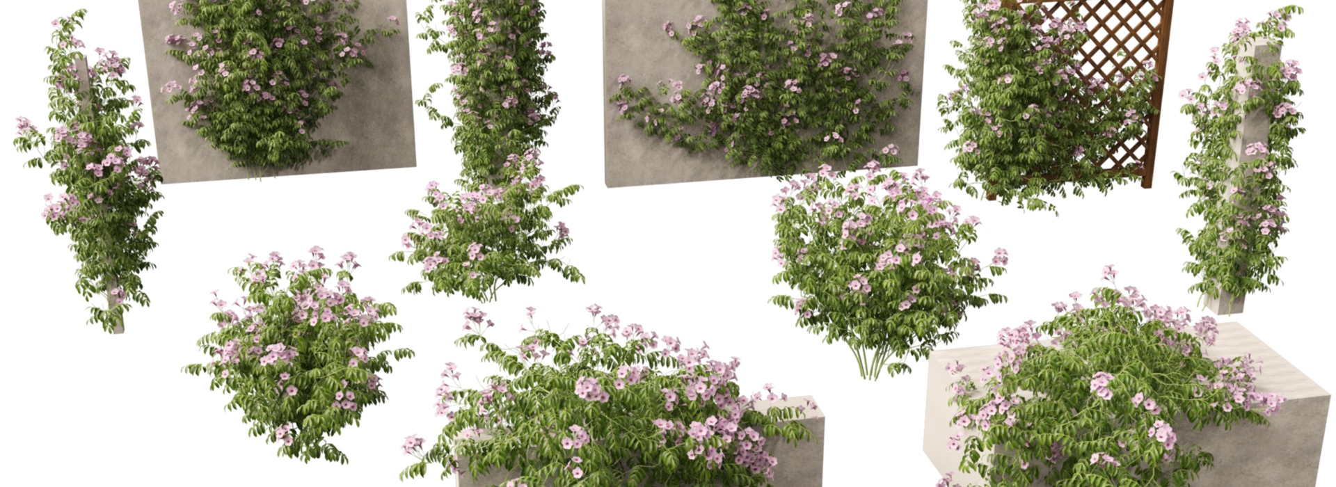 Product banner image