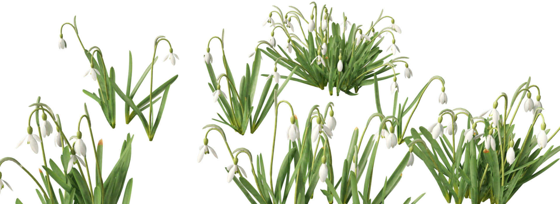 Product banner image