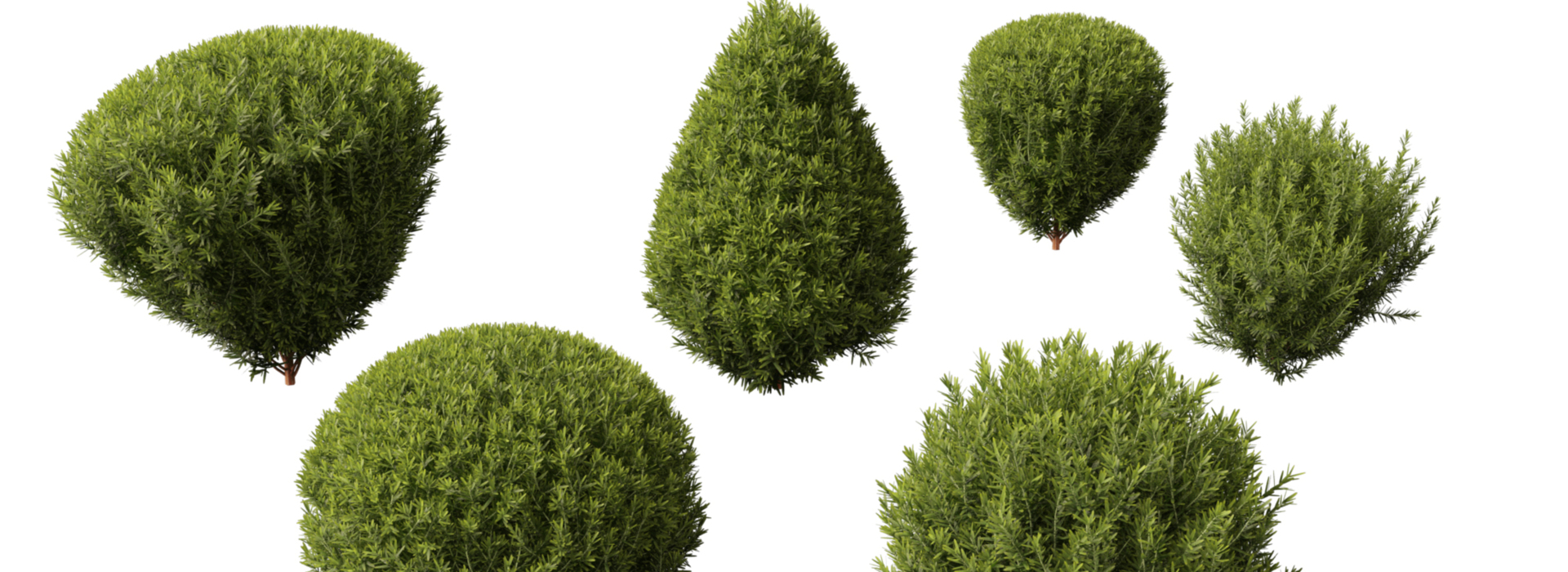 Product banner image