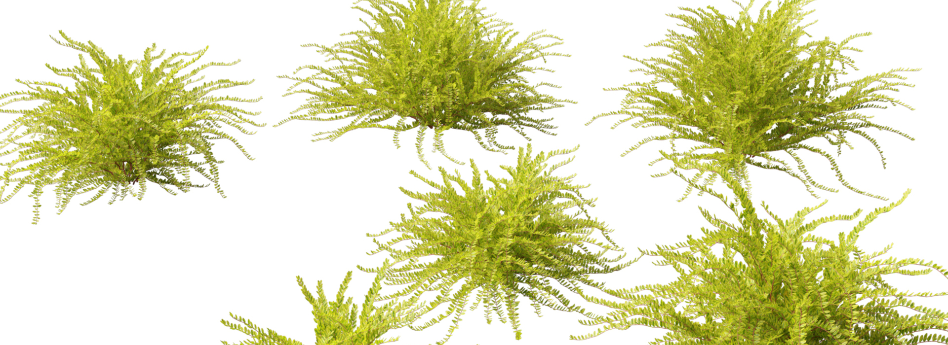 Product banner image