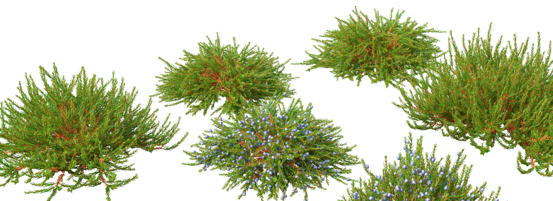 Product banner image