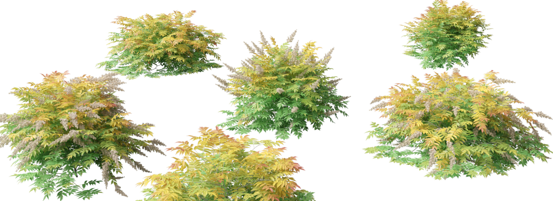 Product banner image