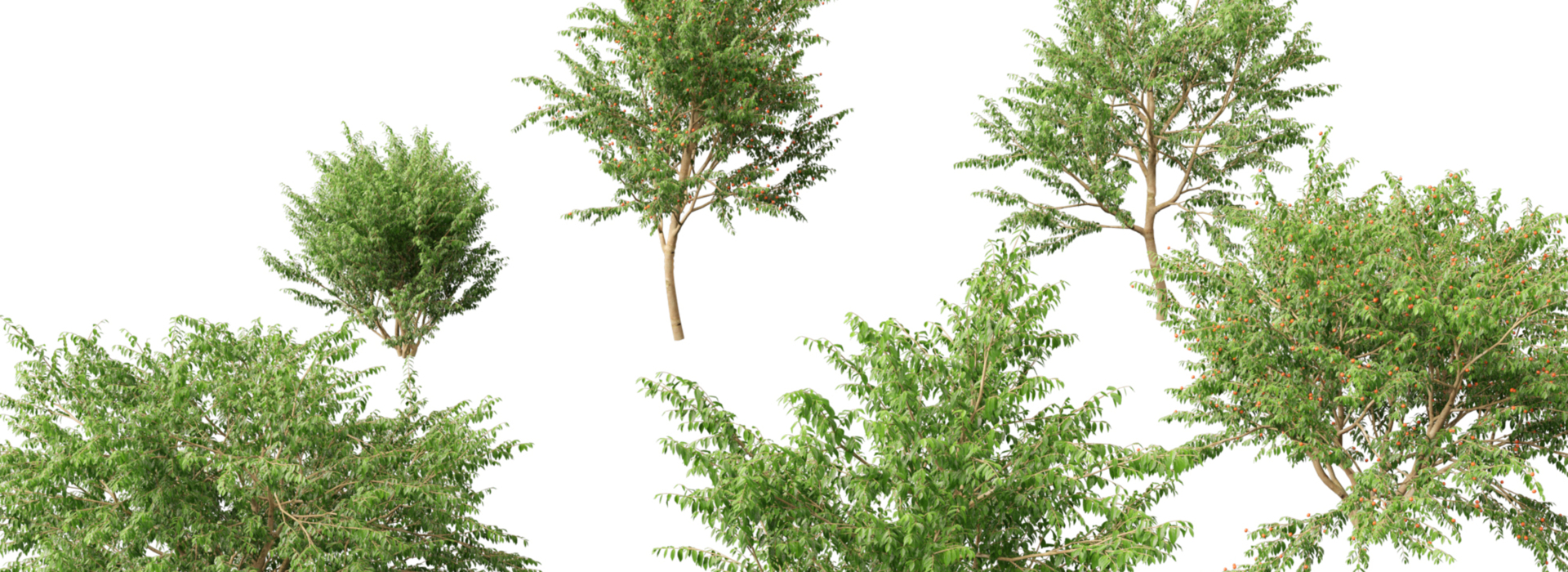 Product banner image